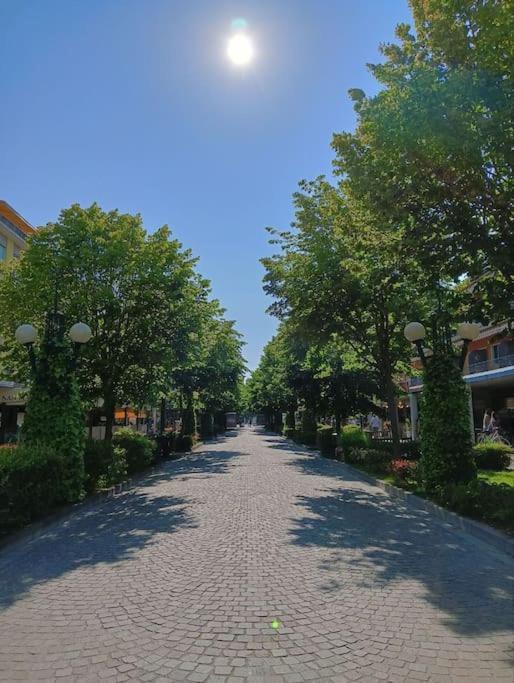 Viale Di Life Apartment